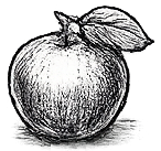 Apple Fragrance note