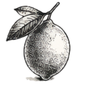 Lemon Fragrance_notes_guide