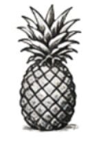 Pineapple Fragrance_notes_guide