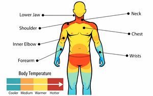 where to apply solid cologne to your pulse points