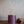 Ambush Candle Co. - Campfire | Bonfire + Saffron 8oz Soy Candle - Bawston & Tucker - 