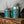 Ambush Candle Co. - In The Pines | Evergreen + Cypress 8oz Soy Candle - Bawston & Tucker - 