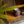 Ambush Candle Co. - Ranger | Bourbon + Maple 8oz Soy Candle - Bawston & Tucker - 