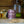 Ambush Candle Co. - Ranger | Bourbon + Maple 8oz Soy Candle - Bawston & Tucker - 