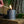 Ambush Candle Co. - Take A Hike | Oakmoss + Cedar 8oz Soy Candle - Bawston & Tucker - 