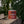 Ambush Candle Co. - Voyager | Amber + Smoked Oud 8oz Soy Candle - Bawston & Tucker - 