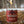 Ambush Candle Co. - Voyager | Amber + Smoked Oud 8oz Soy Candle - Bawston & Tucker - 