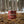 Ambush Candle Co. - Voyager | Amber + Smoked Oud 8oz Soy Candle - Bawston & Tucker - 