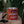 Ambush Candle Co. - Voyager | Amber + Smoked Oud 8oz Soy Candle - Bawston & Tucker - 