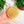 Bamboo Switch - Bamboo Body Dry Brush | Summer Bestseller - Bawston & Tucker - 