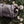 Barebones - Foraging Bag - Waxed Canvas, Multi - Use - Bawston & Tucker - 
