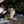 Barebones - Miners Lantern - Bawston & Tucker - 