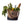 Barebones - Neelum Market Tote Bag - Waxed Canvas Bag - Bawston & Tucker - 