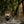 Barebones - Railroad Lantern - Bawston & Tucker - 