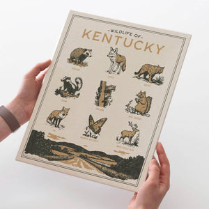 Benoit's Design Co. - Kentucky Wildlife Print - Bawston & Tucker -