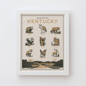 Benoit's Design Co. - Kentucky Wildlife Print - Bawston & Tucker -