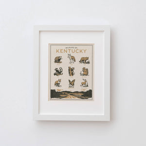 Benoit's Design Co. - Kentucky Wildlife Print - Bawston & Tucker -