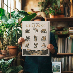 Benoit's Design Co. - Kentucky Wildlife Print - Bawston & Tucker -