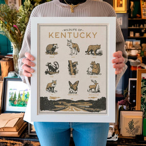Benoit's Design Co. - Kentucky Wildlife Print - Bawston & Tucker -