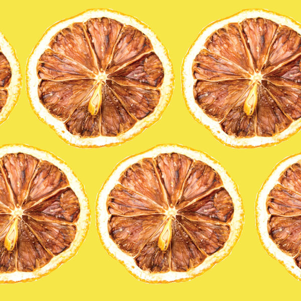 BlueHenry LLC - Dehydrated Lemon Wheels (Small Case) - Bawston & Tucker - 
