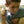 Carson - AdventurePak™ 5 Piece Bundle for Kids, Exploration Kit - Bawston & Tucker - 
