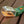 Carson - BugView 5x Magnifier Quick - Release Bug Catching Toy for Kids - Bawston & Tucker - 