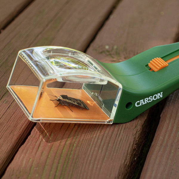 Carson - BugView 5x Magnifier Quick - Release Bug Catching Toy for Kids - Bawston & Tucker - 