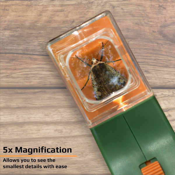 Carson - BugView 5x Magnifier Quick - Release Bug Catching Toy for Kids - Bawston & Tucker - 