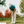 fore company - Desert doodle - Bawston & Tucker - 