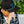 In God We Must - 'Gods Got This' Hat - Bawston & Tucker - 
