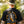 In God We Must - Y'all Snapback Hat - Bawston & Tucker - 