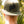 In God We Must - Y'all Snapback Hat - Bawston & Tucker - 