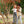 Kikkerland Design Inc - Huckleberry Where Is My Hat? - Bawston & Tucker - 