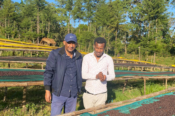 Oak and Bond Coffee Co. - Ethiopia Gera Estate Gr.1 Anaerobic - Bawston & Tucker - 