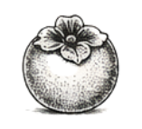 persimmon fragrance note