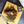 PS Seasoning - Prime Time - Buttery Beef Rub - Bawston & Tucker - 