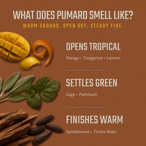Pumaro Solid Cologne for Men - Dry Woods & Golden Citrus - Bawston & Tucker - Solid Cologne