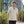 PX - Jaxon Textured Shirt - Bawston & Tucker - 