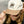 Pyknic - Always Down for Tacos Hat - Bawston & Tucker - 