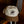 Pyknic - Always Down for Tacos Hat - Bawston & Tucker - 