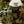 Pyknic - Cereal Killer Chainstitch Hat - Bawston & Tucker - 