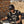 Pyknic - Overworked Under Caffeinated Hat - Bawston & Tucker - 