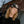 Pyknic - Quesadillas Nylon Trucker Hat - Bawston & Tucker - 