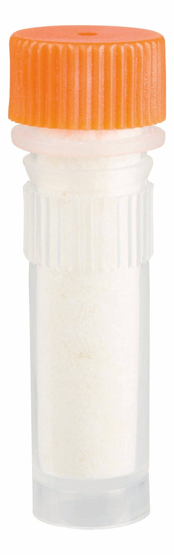 Toysmith - Beetle & Bee Bird Call - FSC Certified, Outdoor Play - Bawston & Tucker - 