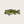 Union Made - Large Mouth Bass Fish - Iron on Patch - Bawston & Tucker - 