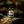 Weatherbeard | Beard Oils, Balms, Butters, & Cologne For Men - Evergreen Woods Beard Oil - Pine, Cypress, Sage - Bawston & Tucker - 