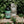 White's Elixirs - White's Elixirs Mojito Cocktail Mix - Bawston & Tucker - 
