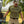 Yee Yee - Christ Is King Tee - Bawston & Tucker -