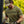 Yee Yee - Christ Is King Tee - Bawston & Tucker -