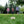 Scatter Outdoor Yard Game - B&T Home Goods - Bawston & Tucker - Games
